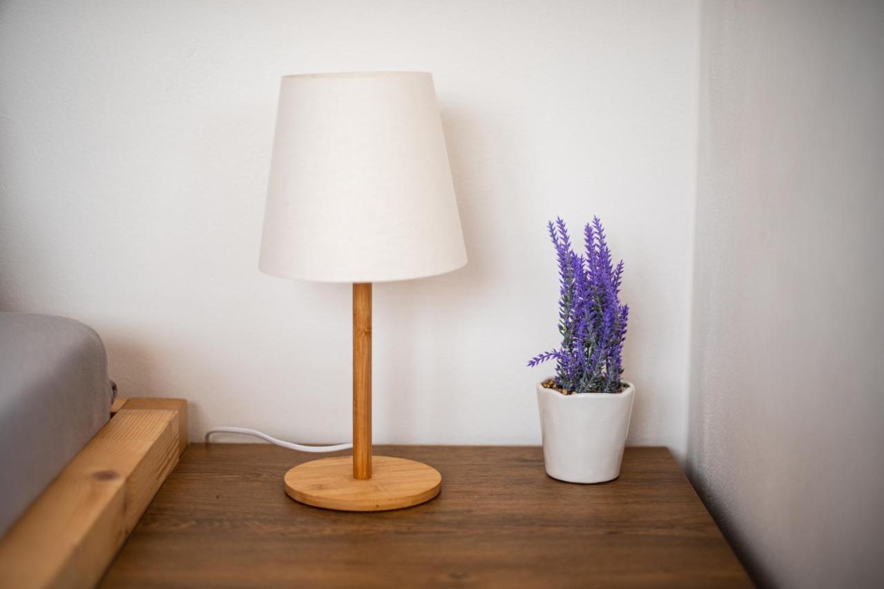 Apartment Slavikov - Simple Horni Radechova